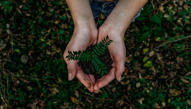 Choosing Eco-Friendly Materials for Your Next Remodel